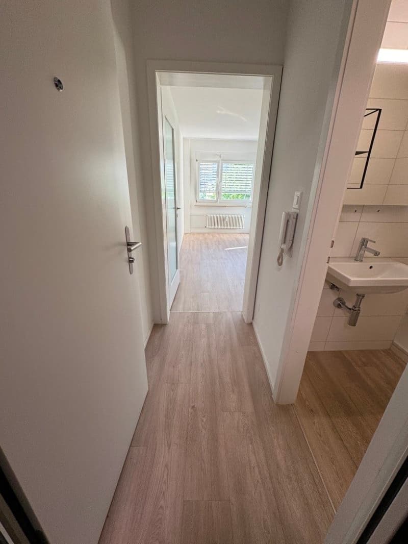 Helle 1-Zimmer-Wohnung mit Balkon - Nähe Zoo Basel (4)