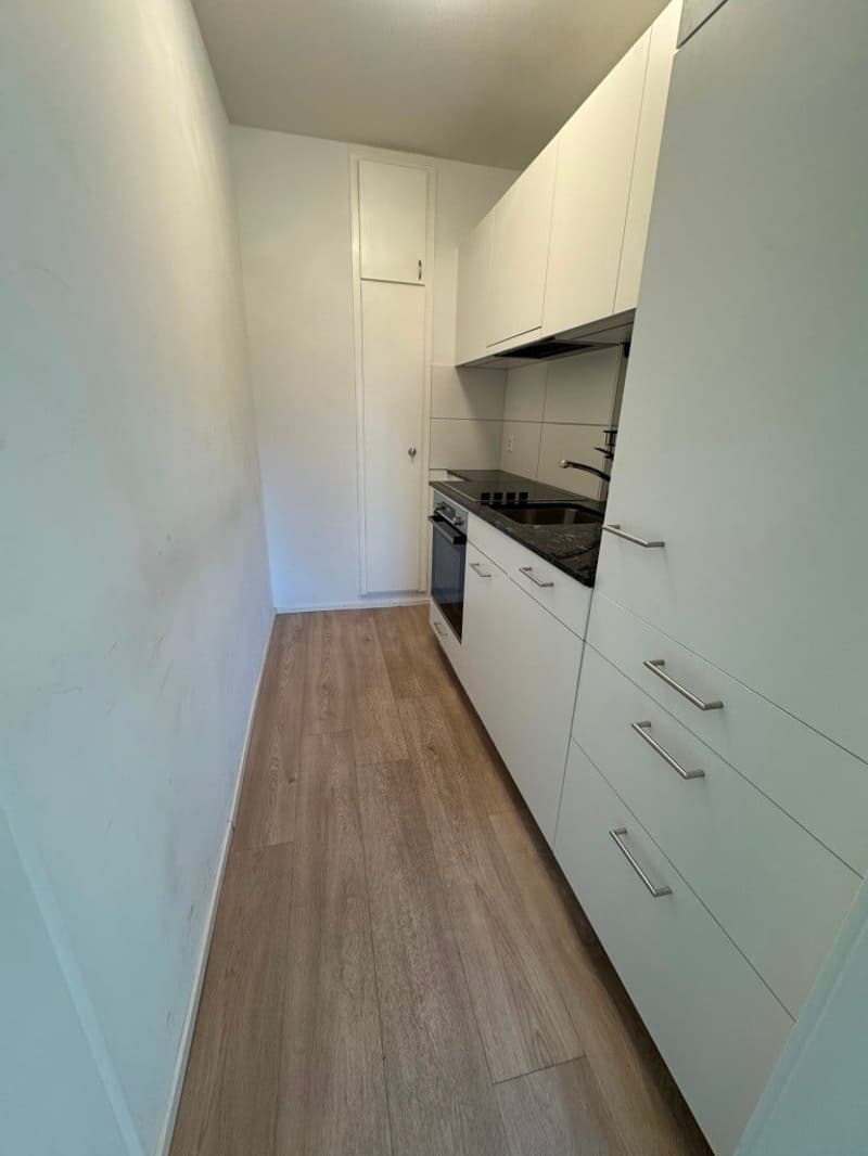 Helle 1-Zimmer-Wohnung mit Balkon - Nähe Zoo Basel (3)