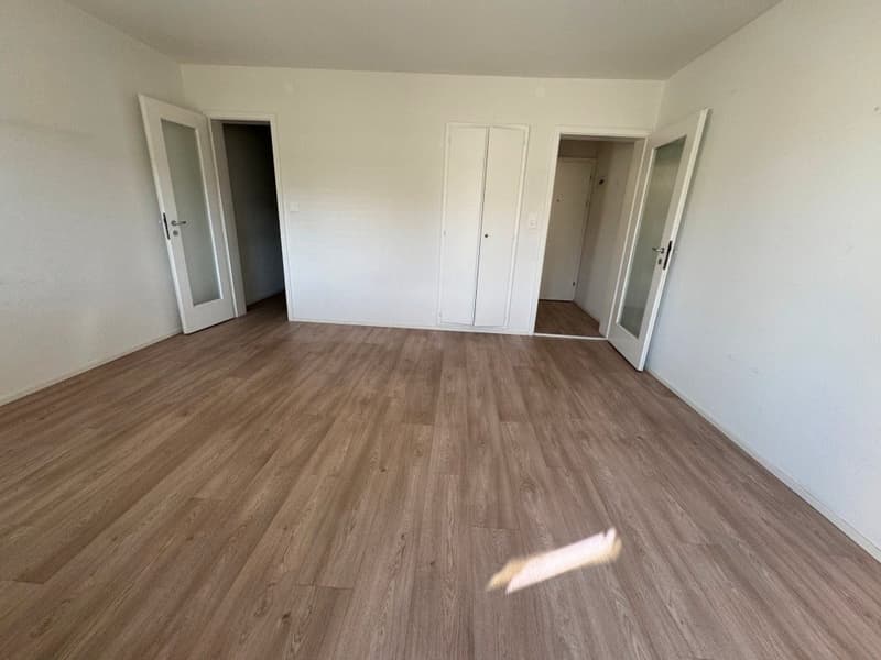 Helle 1-Zimmer-Wohnung mit Balkon - Nähe Zoo Basel (1)