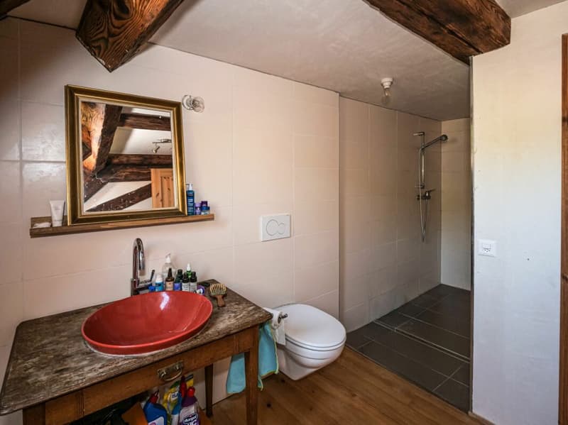 Naturnahes Wohnen im renovierten Haus (9)