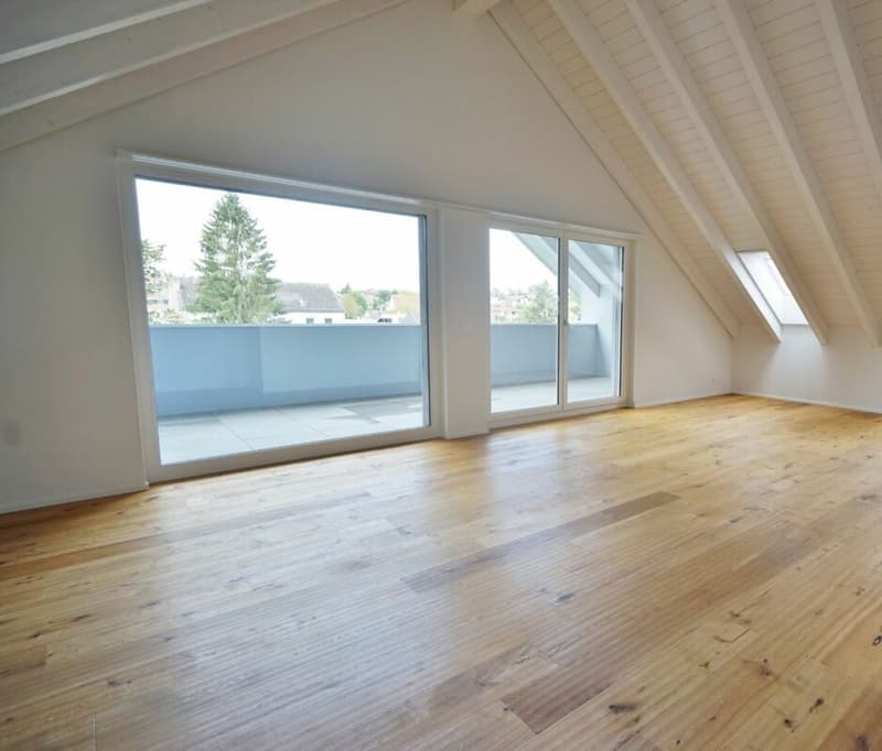 Ihre Traumwohnung in Witterswil (5)