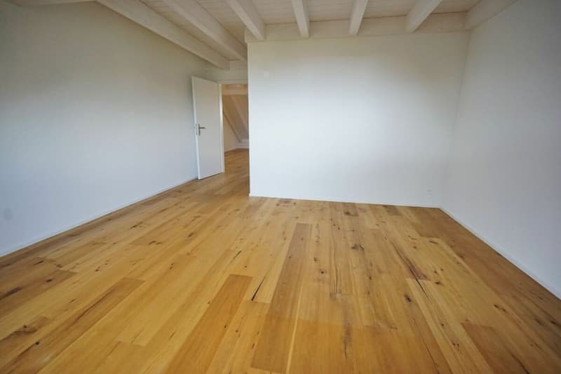 Ihre Traumwohnung in Witterswil (7)