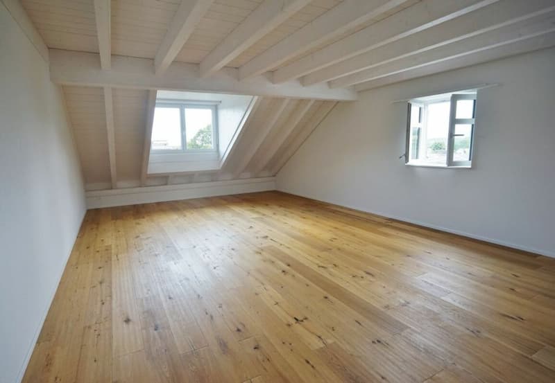 Ihre Traumwohnung in Witterswil (9)