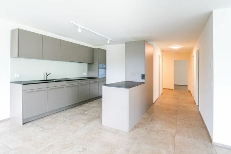 Moderne 2.5-Zimmerwohnungen im Herzen von Dornach (1)