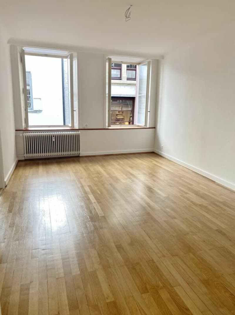 Sanierte Altbauwohnung im Herzen von Basel (4)