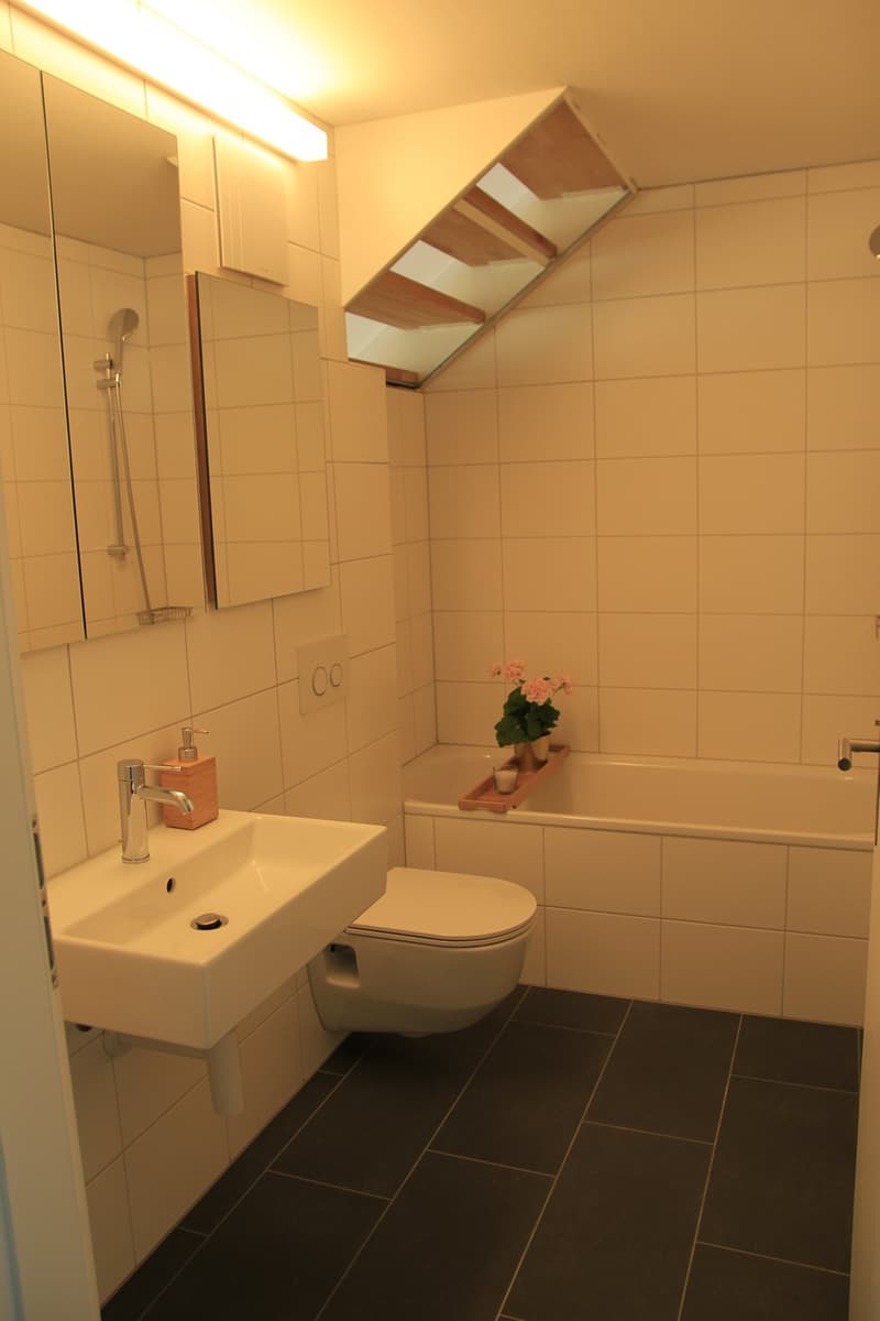 Bad 1 (unter der Treppe kommt noch ein Milchglas hin --> Sichtschutz und trotzdem natürliches Licht)