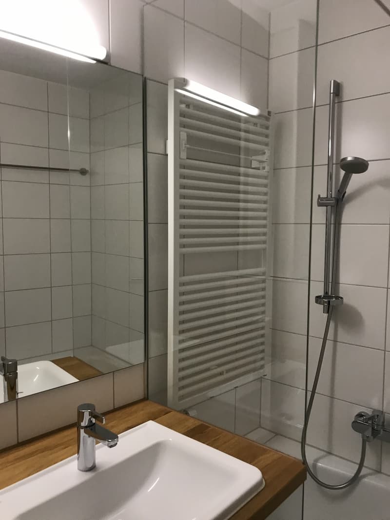 4 ½ Zimmer-Wohnung, 4125 Riehen (7)