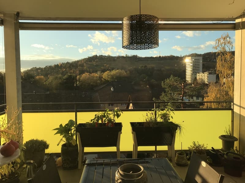 4 ½ Zimmer-Wohnung, 4125 Riehen (2)