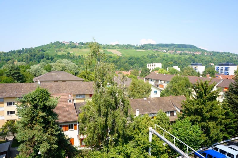 4 ½ Zimmer-Wohnung, 4125 Riehen (8)