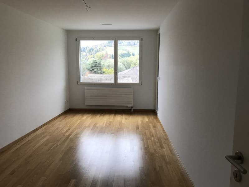 4 ½ Zimmer-Wohnung, 4125 Riehen (5)