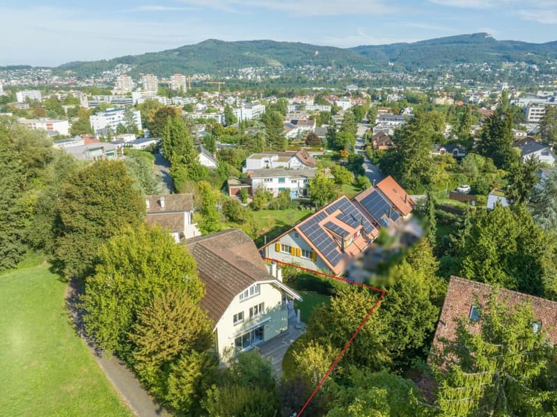 Raumwunder am Rebberg von Reinach - 7.5 Z' Villa mit viel Privatsphäre (2)