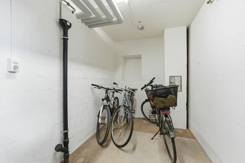 Heimelige 2.5 Z' Dachwohnung mit Garage und Balkon (13)