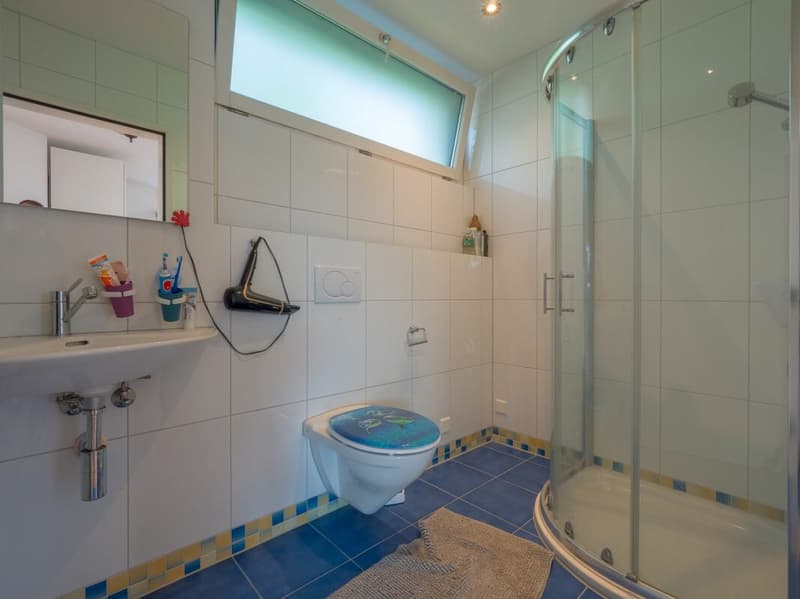 Moderne Wohnperle - freistehendes 6.5 Z' EFH mit Pool, Sauna und Whirlpool (10)