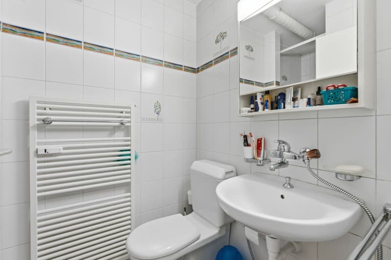 Gemütliche und familienfreundliche 4.5 Z' Gartenwohnung an beliebter Lage (5)