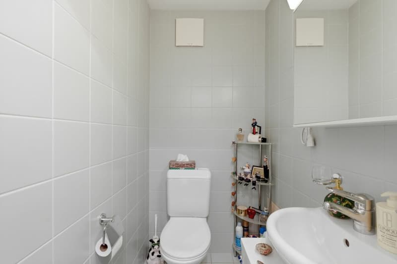 Sonnige 3.5 Z' Maisonette-Dachwohnung mit unverbaubarer Aussicht und 1 EHP (6)