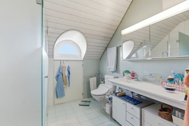 Sonnige 3.5 Z' Maisonette-Dachwohnung mit unverbaubarer Aussicht und 1 EHP (8)