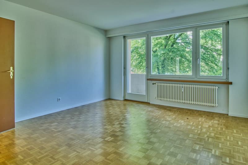 Einziehen und wohlfühlen: 3 Z' Wohnung mit 2 Balkonen und AAP (3)