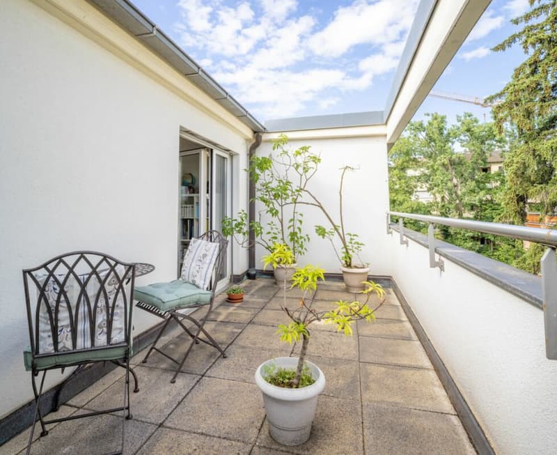 Über den Dächern von Basel: 3 Z' Attikawohnung mit traumhafter Terrasse (8)
