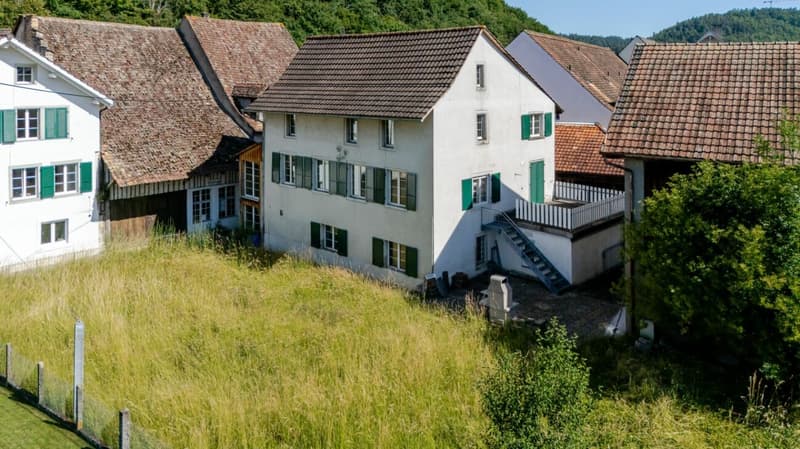 Historisches 11 Z' Haus mit zwei Garagen und viel Um-/Ausbaupotenzial (10)