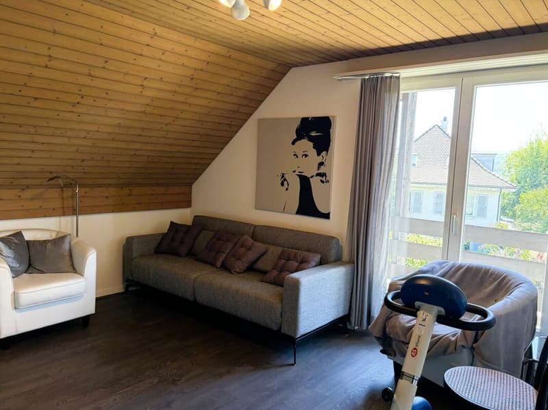 703 m² Bauland oder sanierungsbedürftiges 4.5 Z' EFH an begehrter Wohnlage (8)