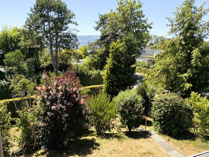 703 m² Bauland oder sanierungsbedürftiges 4.5 Z' EFH an begehrter Wohnlage (10)