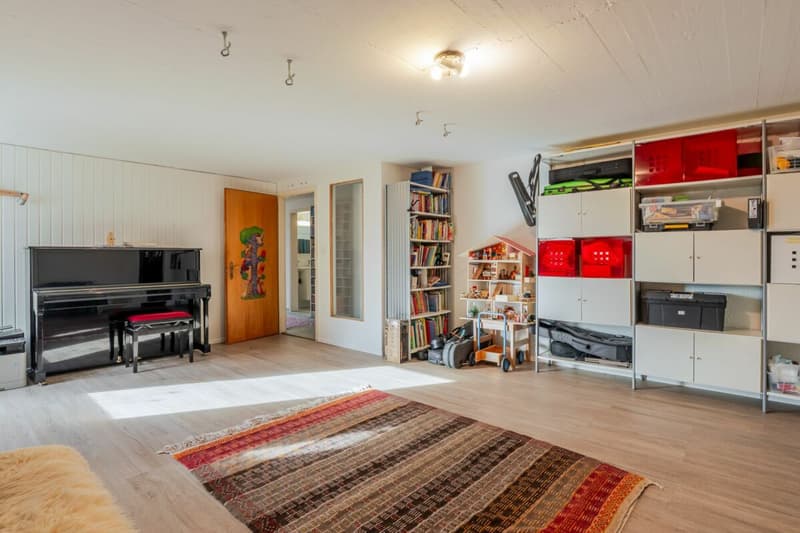 Freistehendes 6.5 Z' Einfamilienhaus am Sonnenhang von Dornach (7)