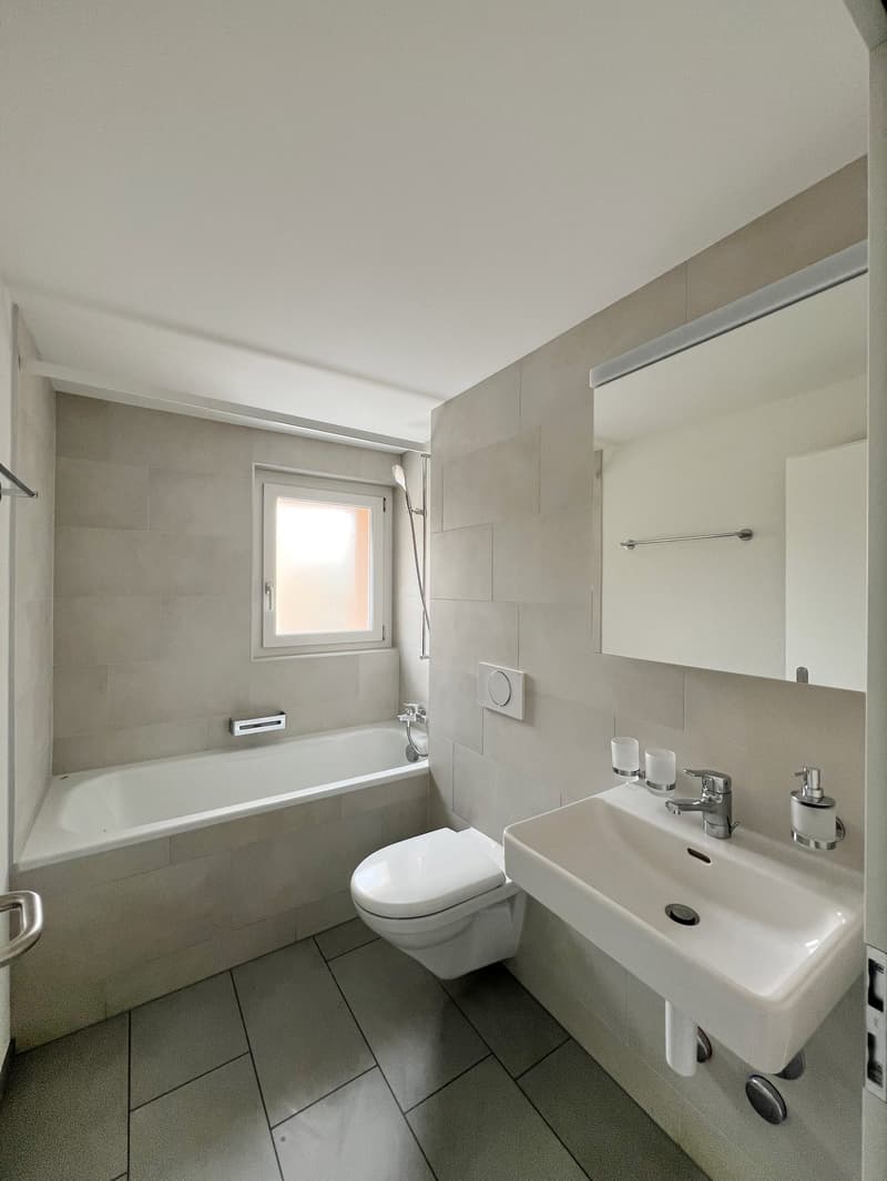 Bathroom: bathtub, toilet, sink, mirror, shower, soap dispenser, towel holder