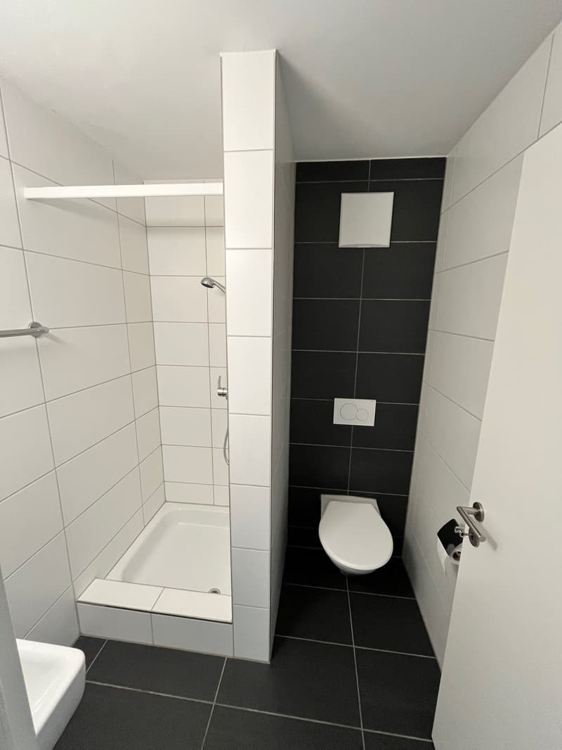 small bathroom with shower, toilet, and sink