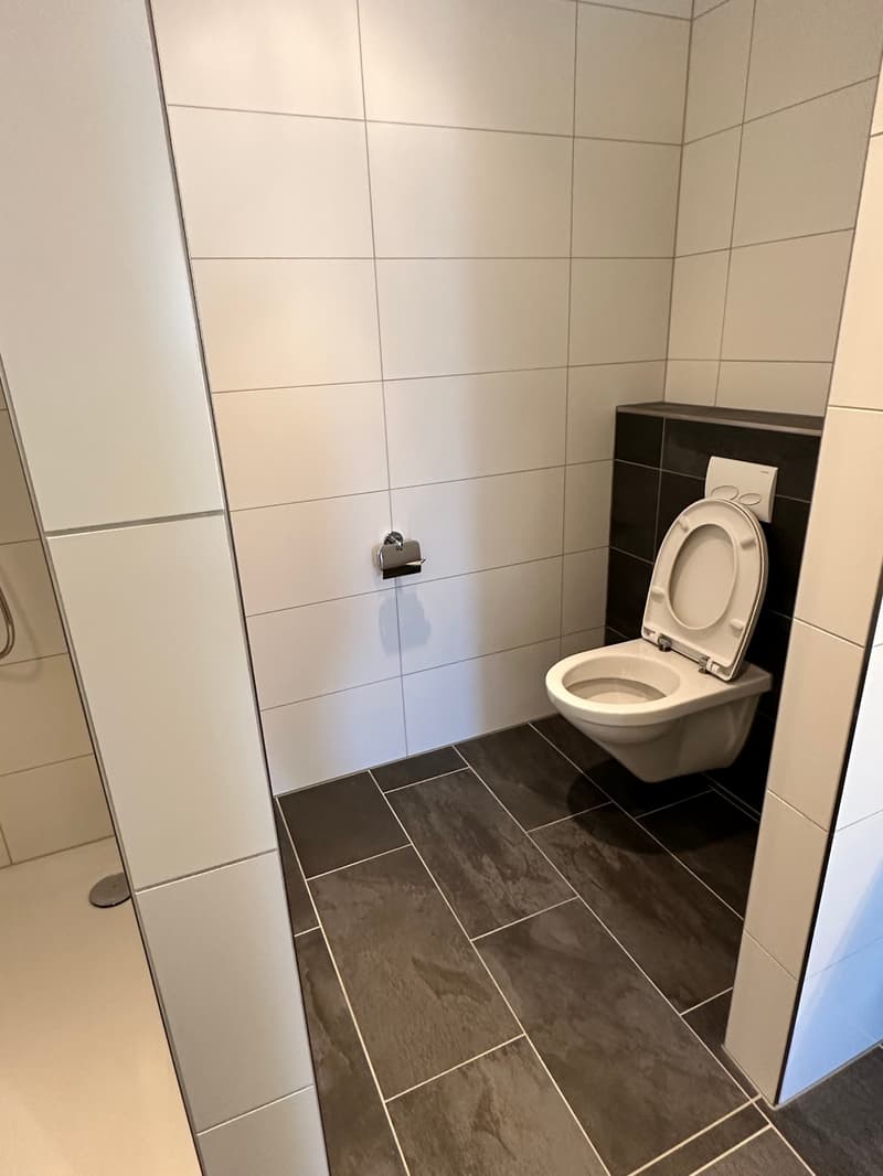 Grosszügige 4.5-Zimmer-Dachwohnung mit grossem Balkon in Maisprach (BL) (8)