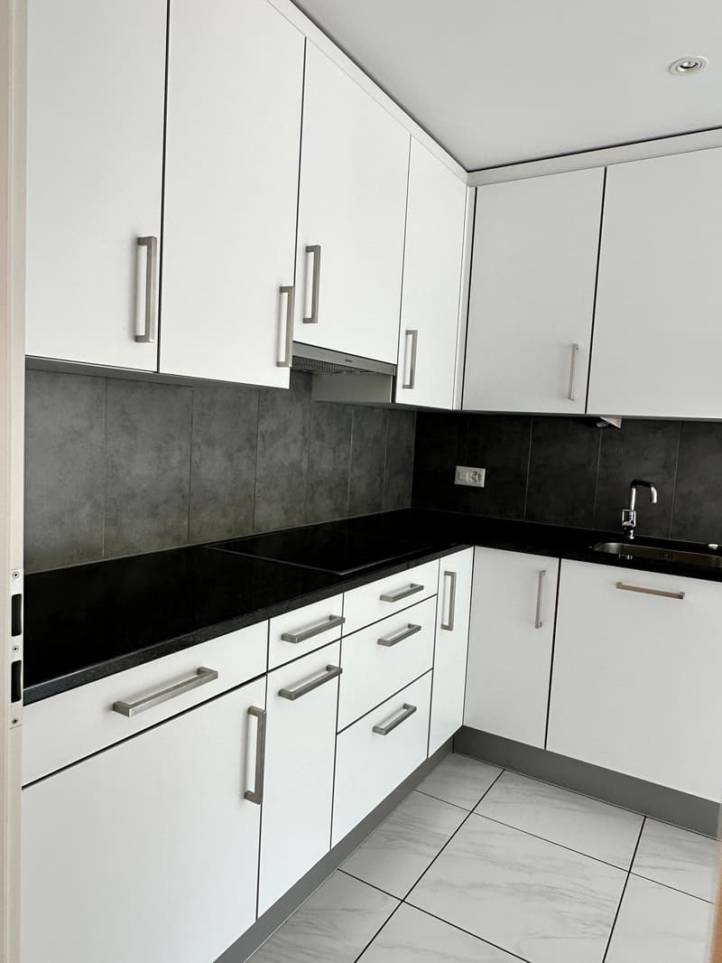 4.5 Zimmer Erdgeschosswohnung (3)