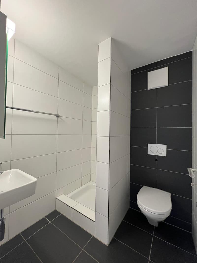 4.5 Zimmer Wohnung im Erdgeschosswohnung mit Terrasse (13)