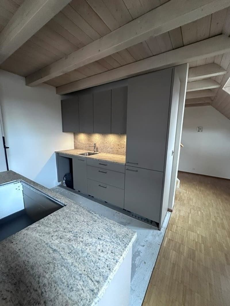 Renovierte 3.5-Zimmer-Dachwohnung - neue Küche (3)