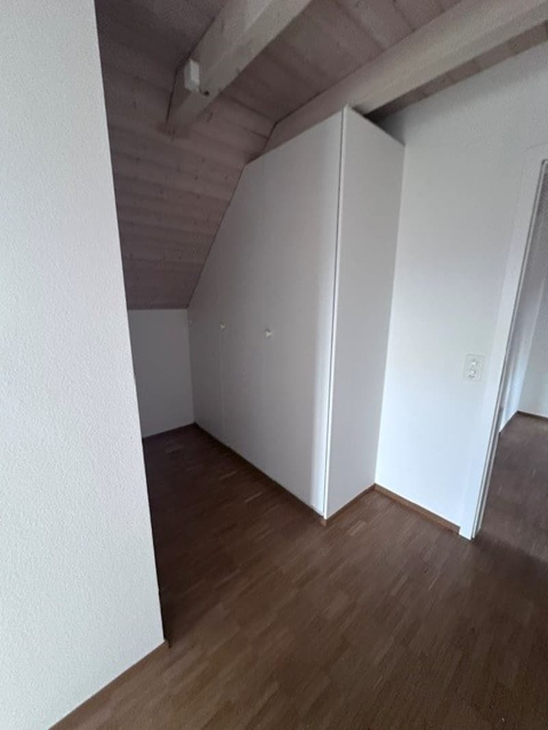 Renovierte 3.5-Zimmer-Dachwohnung - neue Küche (6)