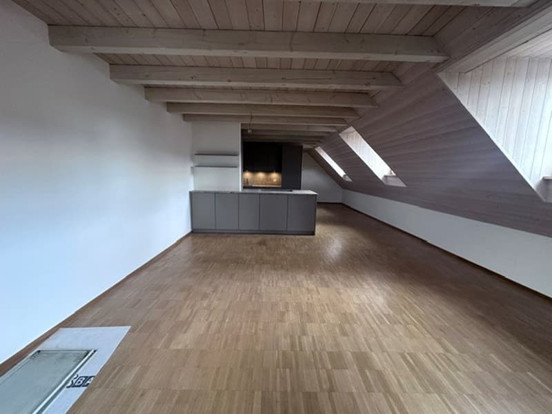 Renovierte 3.5-Zimmer-Dachwohnung - neue Küche (1)