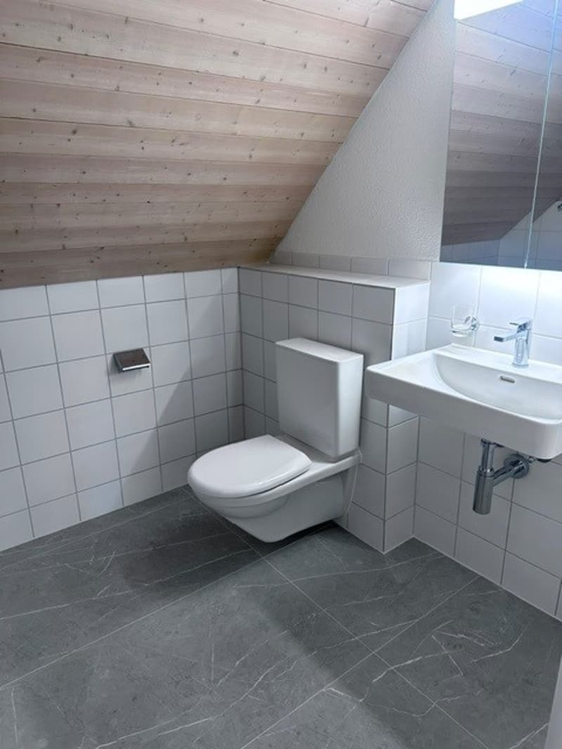 Renovierte 3.5-Zimmer-Dachwohnung - neue Küche (13)