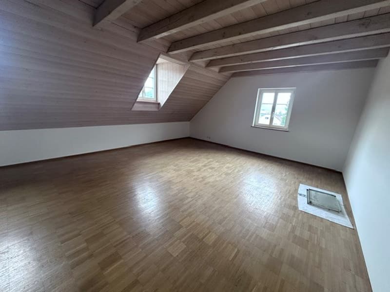 Renovierte 3.5-Zimmer-Dachwohnung - neue Küche (4)