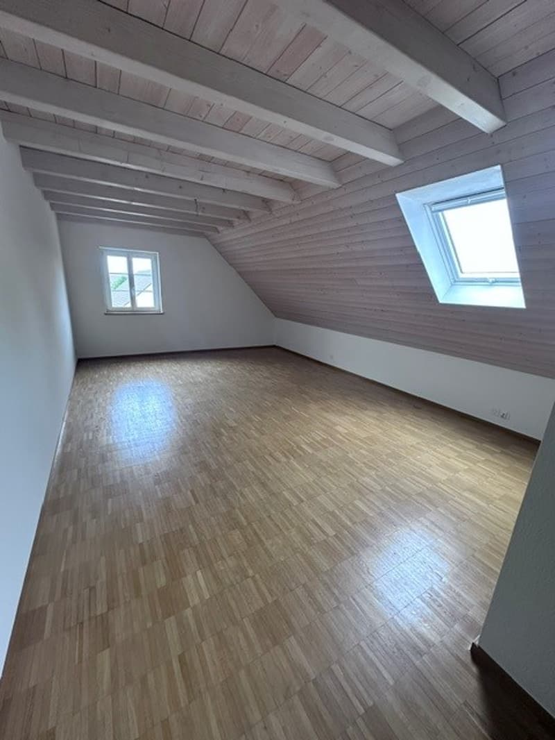 Renovierte 3.5-Zimmer-Dachwohnung - neue Küche (5)