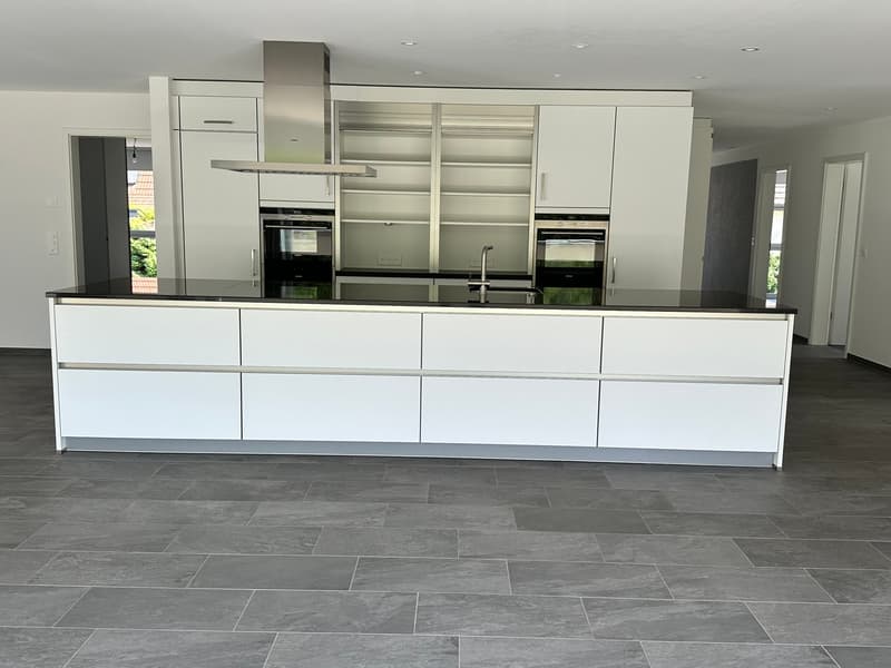Top moderne 4.5-Zimmer-Dachwohnung ca. 175m2 mit grossem Balkon (4)