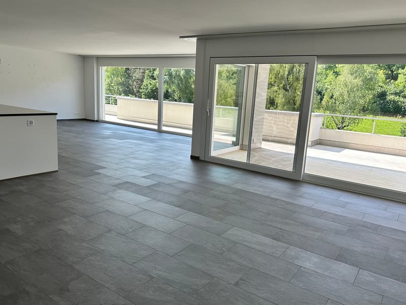 Top moderne 4.5-Zimmer-Dachwohnung ca. 175m2 mit grossem Balkon (9)