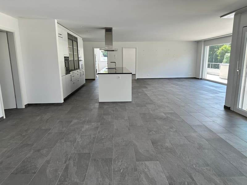 Top moderne 4.5-Zimmer-Dachwohnung ca. 175m2 mit grossem Balkon (5)