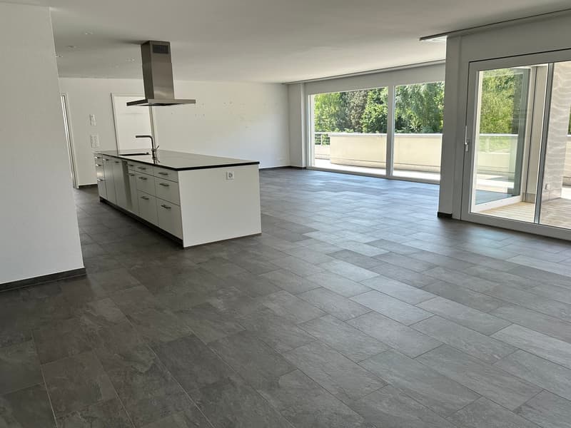 Top moderne 4.5-Zimmer-Dachwohnung ca. 175m2 mit grossem Balkon (8)