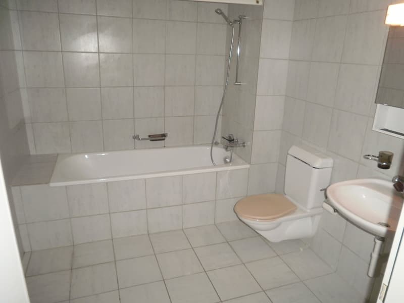 Charmante 4.5 Zimmer Wohnung mit grosser Laube - ab sofort verfügbar! (11)