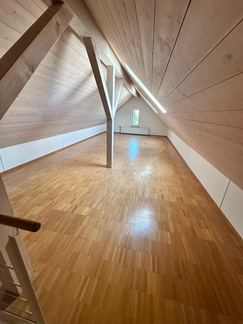 Renovierte 3.5-Zimmer-Dachwohnung - neue Küche (17)