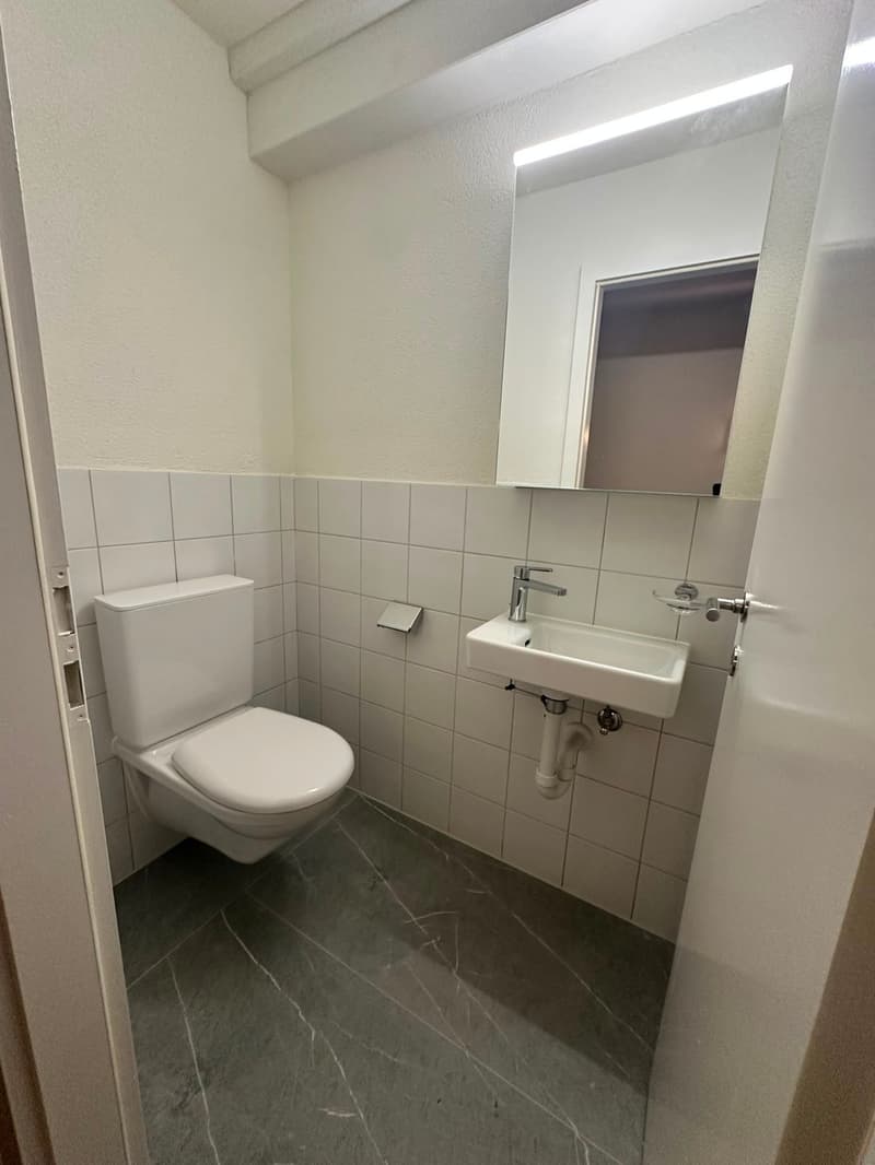 Renovierte 3.5-Zimmer-Dachwohnung - neue Küche (21)