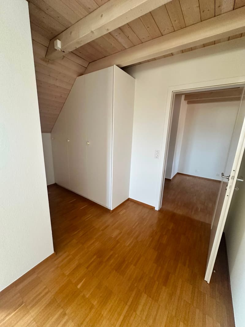 Renovierte 3.5-Zimmer-Dachwohnung - neue Küche (11)