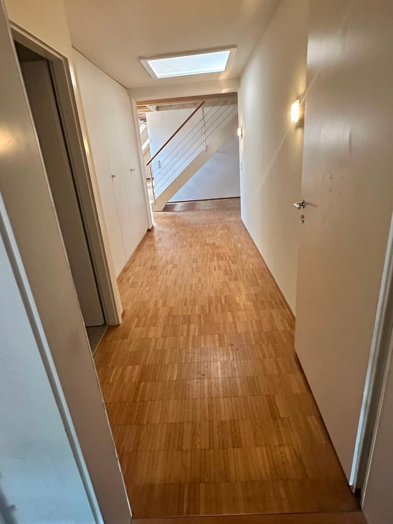 Renovierte 3.5-Zimmer-Dachwohnung - neue Küche (13)