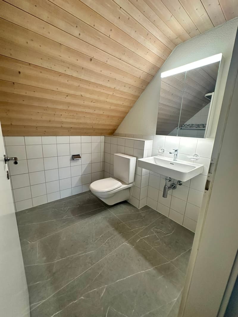 Renovierte 3.5-Zimmer-Dachwohnung - neue Küche (18)