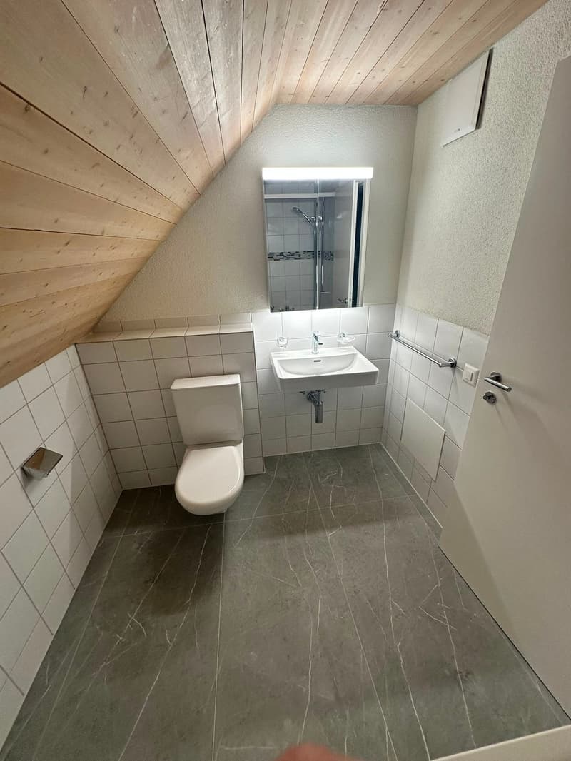 Renovierte 3.5-Zimmer-Dachwohnung - neue Küche (19)