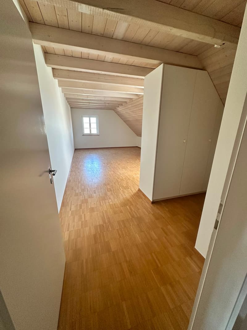 Renovierte 3.5-Zimmer-Dachwohnung - neue Küche (9)