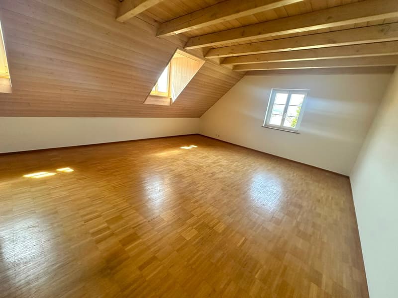 Renovierte 3.5-Zimmer-Dachwohnung - neue Küche (7)
